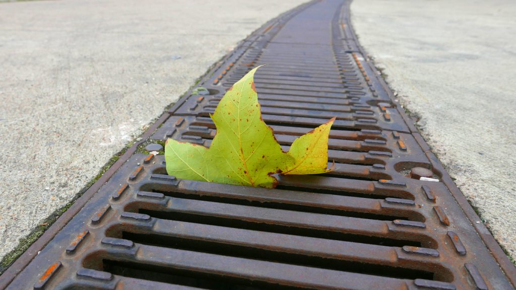 autumn leaf evacuation grid